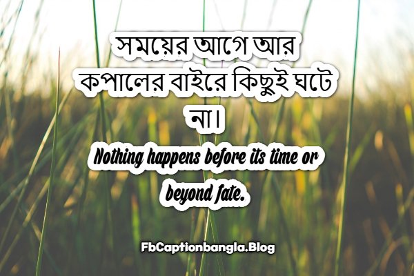 FB Caption Bangla to English