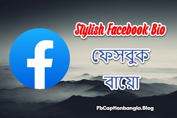 Stylish Facebook Bio