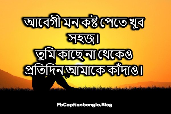 আবেগি কষ্টের স্ট্যাটাস