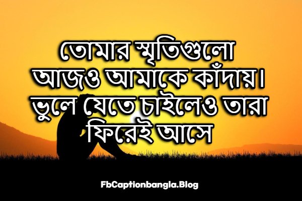 কষ্টের স্ট্যাটাস বাংলা | Koster Status Bangla